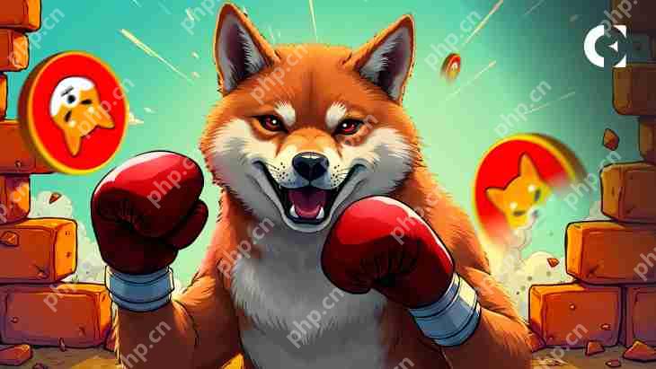 Dogecoin(Doge)表现出新鲜的力量迹象,可能正在为下一个重大突破做准备